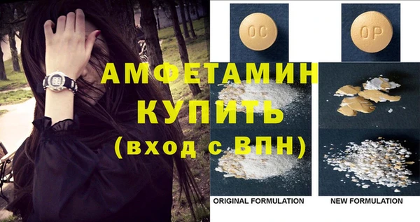 ГАЛЛЮЦИНОГЕННЫЕ ГРИБЫ Абаза