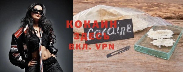 ГАЛЛЮЦИНОГЕННЫЕ ГРИБЫ Абаза
