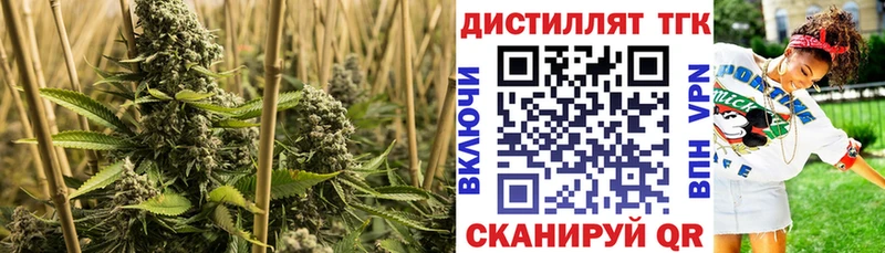мега tor Архангельск Дистиллят ТГК гашишное масло