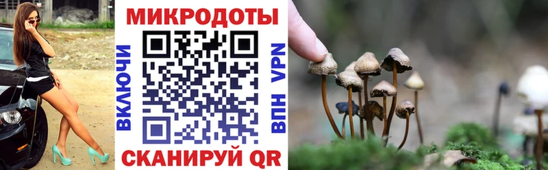 Псилоцибиновые грибы ЛСД  hydra зеркало  Архангельск 